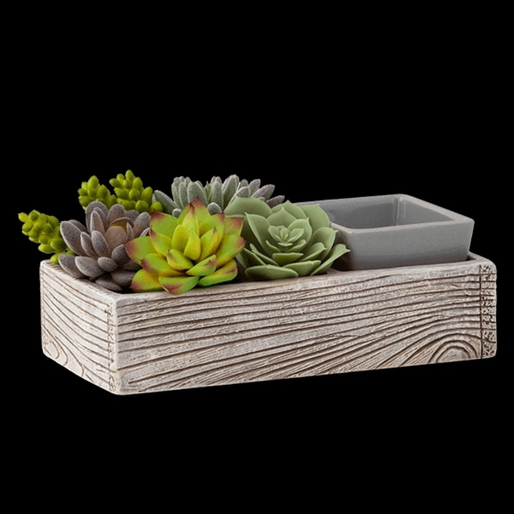 Scentsy Succulent Warmer